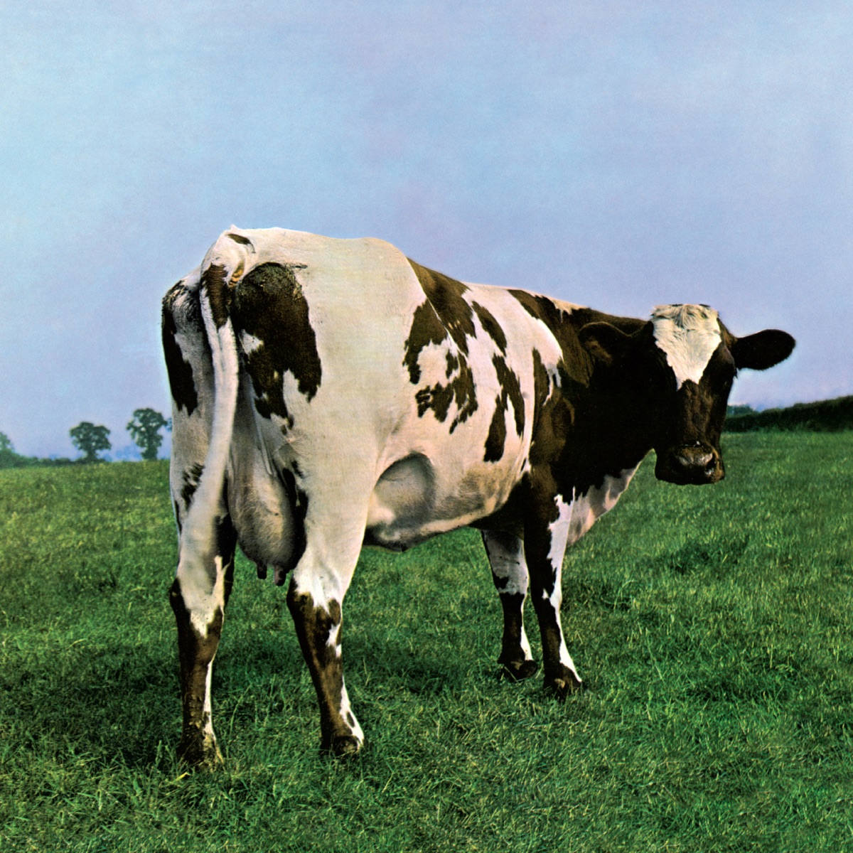 Atom Heart Mother (1970) van Pink Floyd. Een koe, en verder niets.